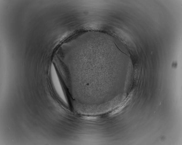 X0000098160168200805011439