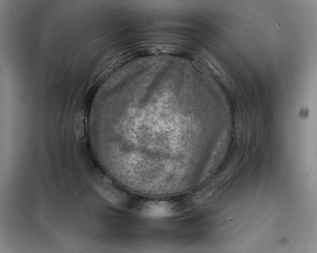 X0000098160169200805011439