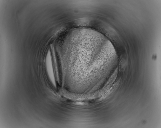 X0000098160172200805011439