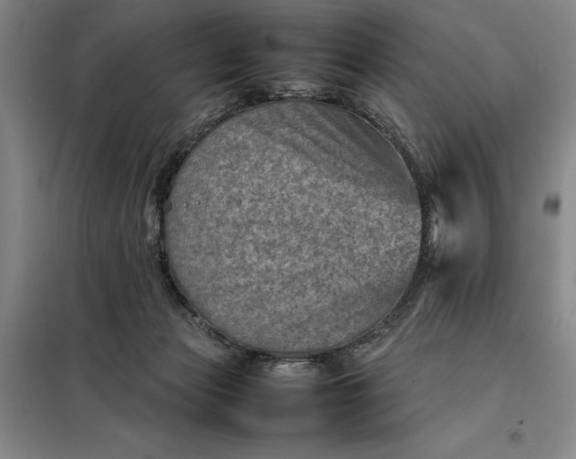 X0000098160173200805011439