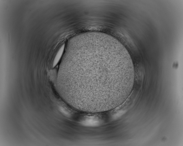 X0000098160175200805011439