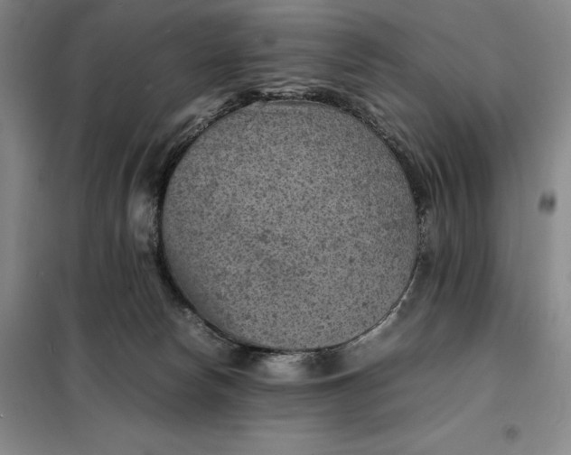 X0000098160178200805011439