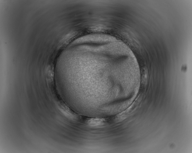 X0000098160179200805011439