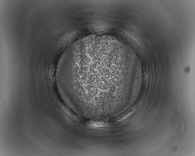 X0000098160181200805011439