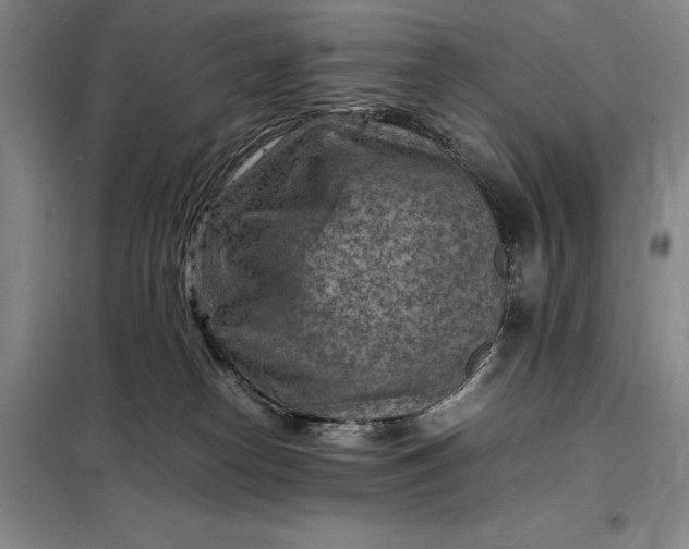 X0000098160182200805011439