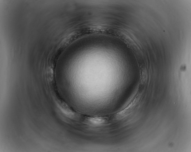 X0000098160183200805011439