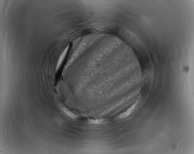X0000098160186200805011439