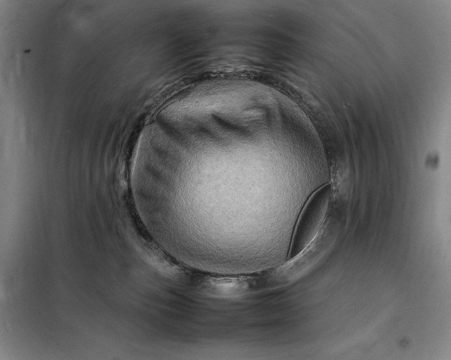 X0000098160187200805011439