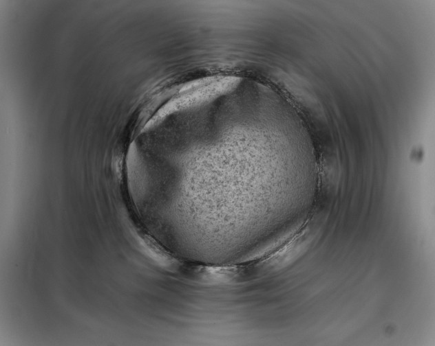 X0000098160188200805011439