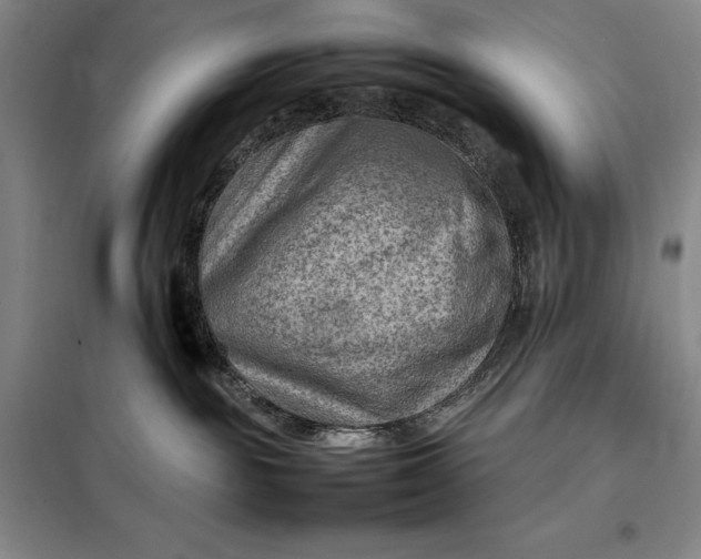 X0000098160189200805011439