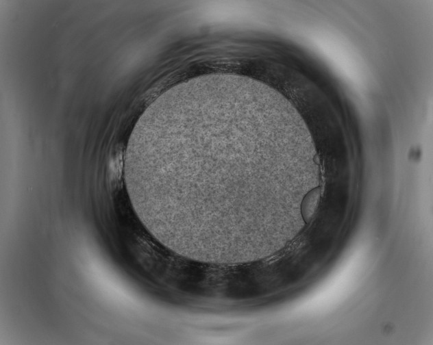 X0000098160190200805011439