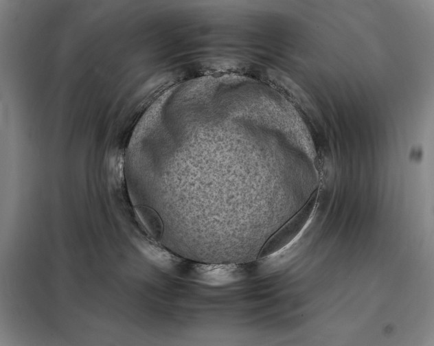 X0000098160191200805011439