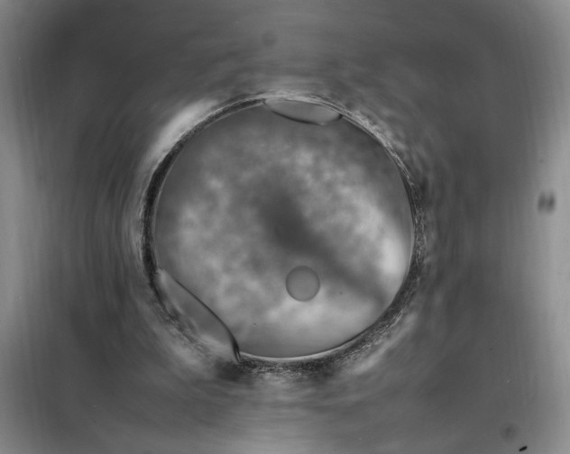 X0000098160199200805011438