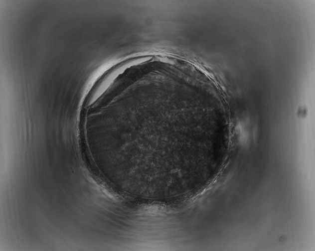 X0000098160200200805011438