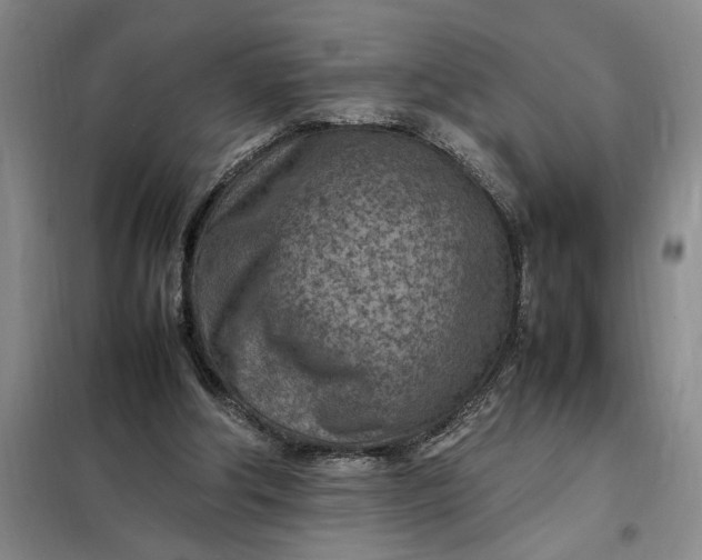 X0000098160202200805011438