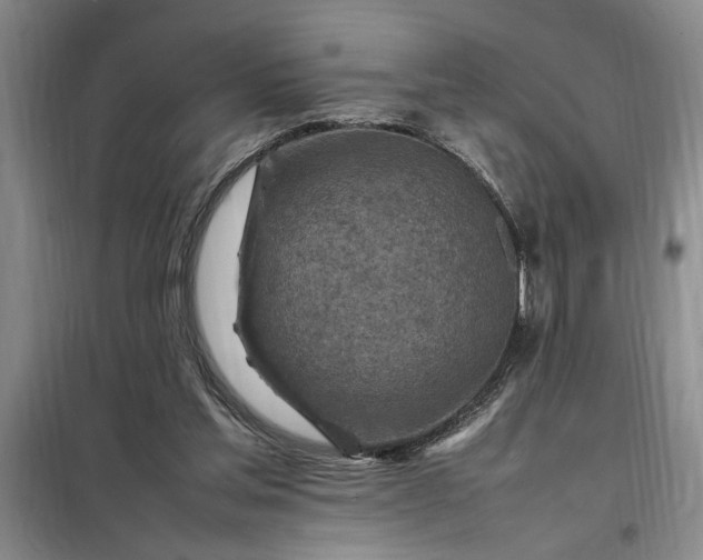 X0000098160205200805011438