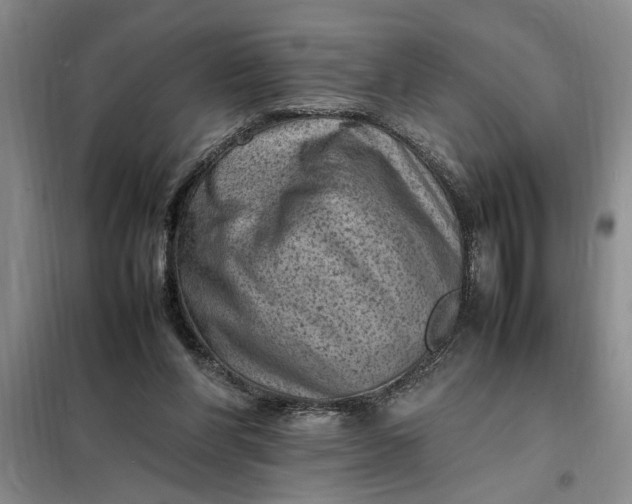 X0000098160206200805011438