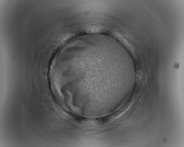 X0000098160209200805011438