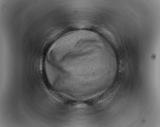 X0000098160210200805011438