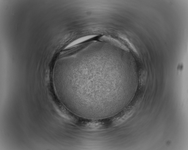X0000098160213200805011438