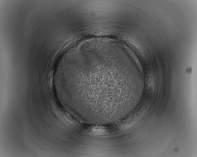 X0000098160214200805011438