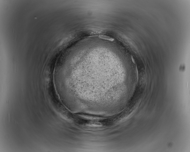 X0000098160215200805011438