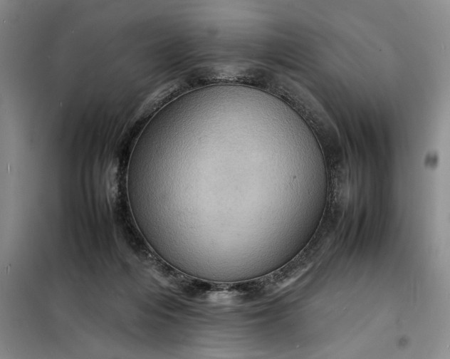 X0000098160216200805011438