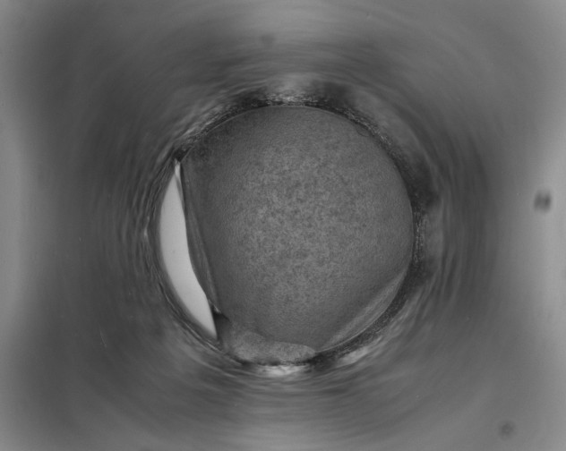 X0000098160217200805011438