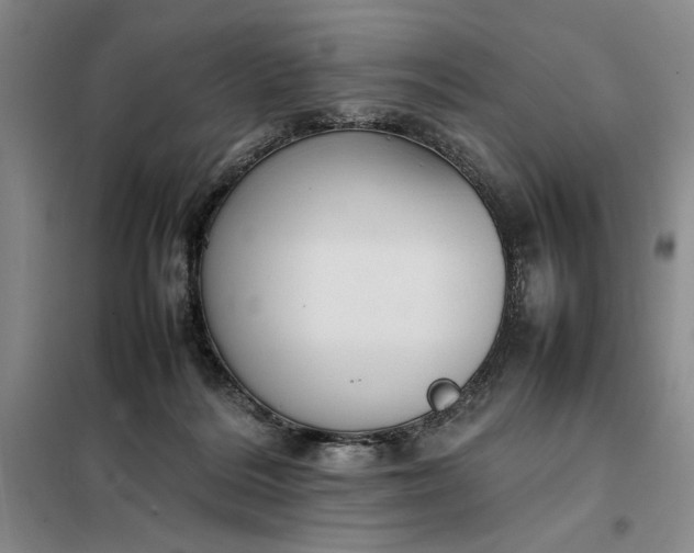 X0000098160220200805011438