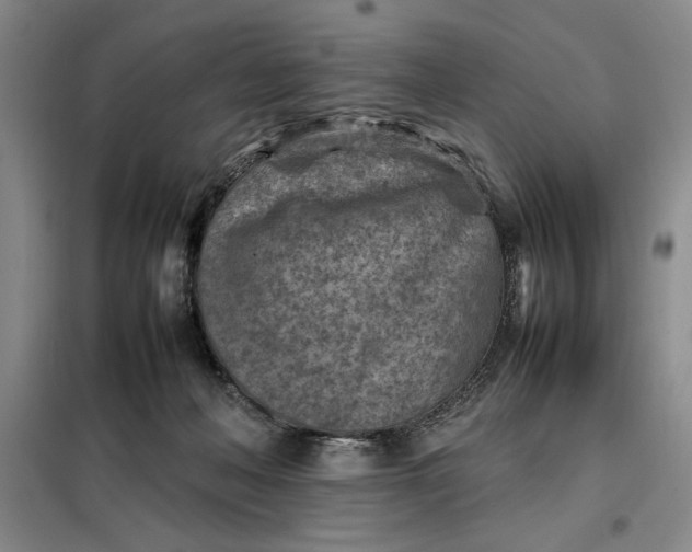 X0000098160222200805011438