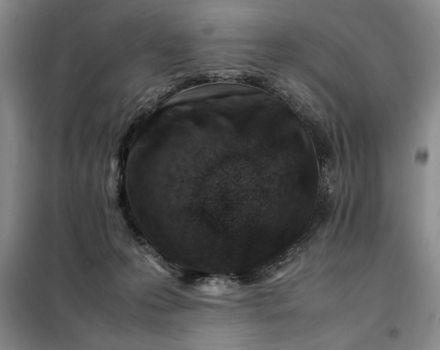 X0000098160223200805011438