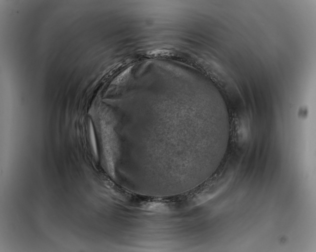 X0000098160224200805011438