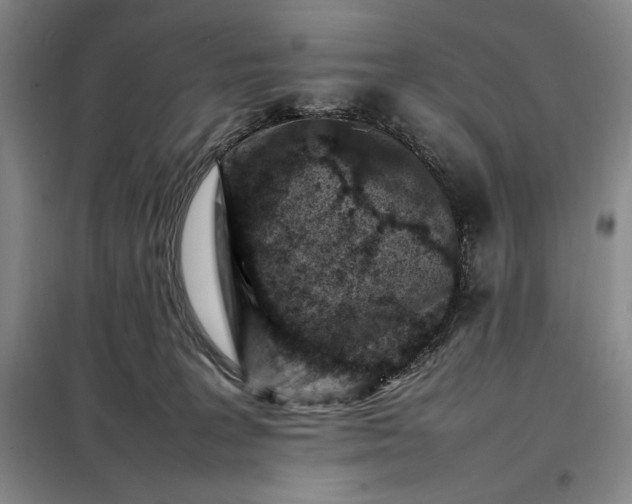 X0000098160227200805011438