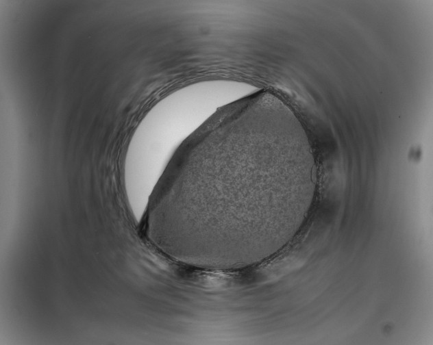 X0000098160229200805011438