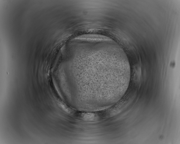 X0000098160230200805011438
