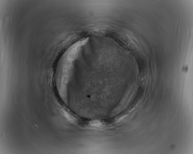 X0000098160231200805011438