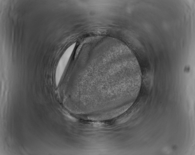 X0000098160233200805011438