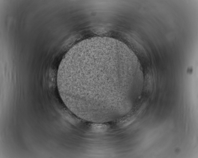 X0000098160234200805011438