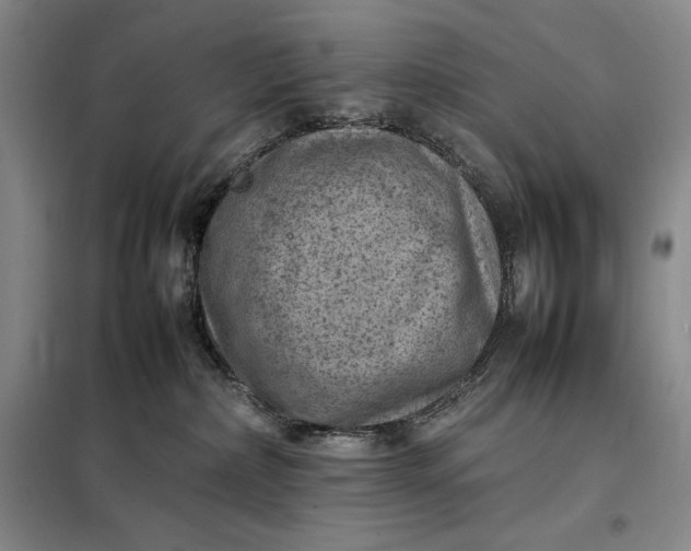 X0000098160236200805011438