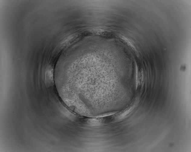 X0000098160238200805011438