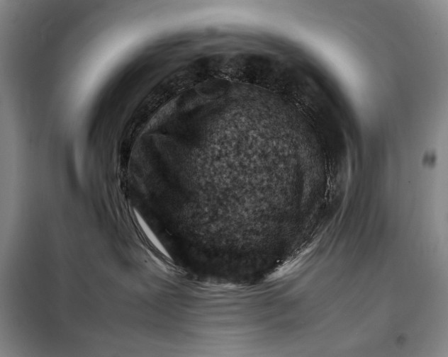 X0000098160239200805011438