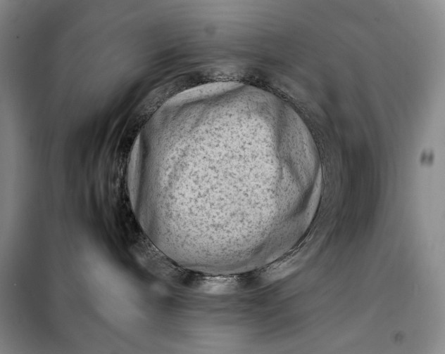 X0000098160240200805011438