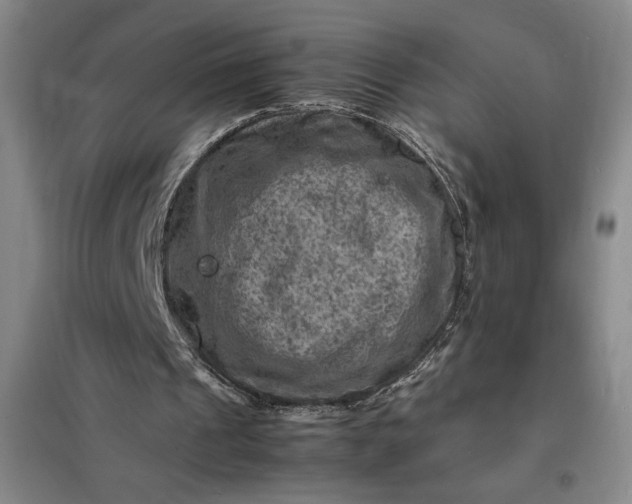 X0000098160241200805011437