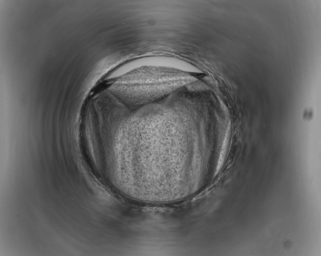 X0000098160242200805011437
