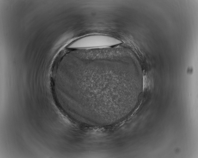 X0000098160243200805011437