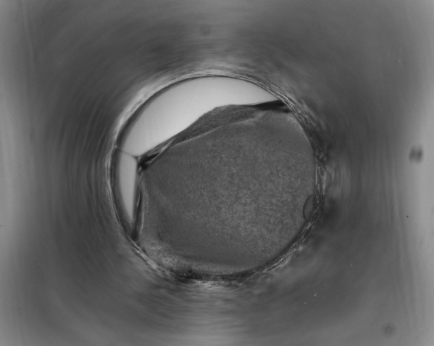 X0000098160244200805011437