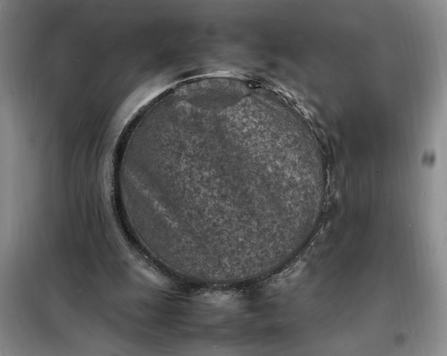 X0000098160247200805011437
