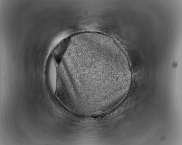 X0000098160248200805011437