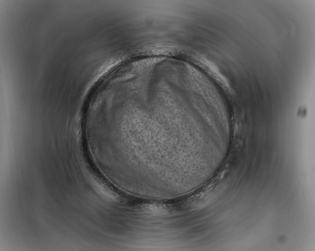 X0000098160250200805011437