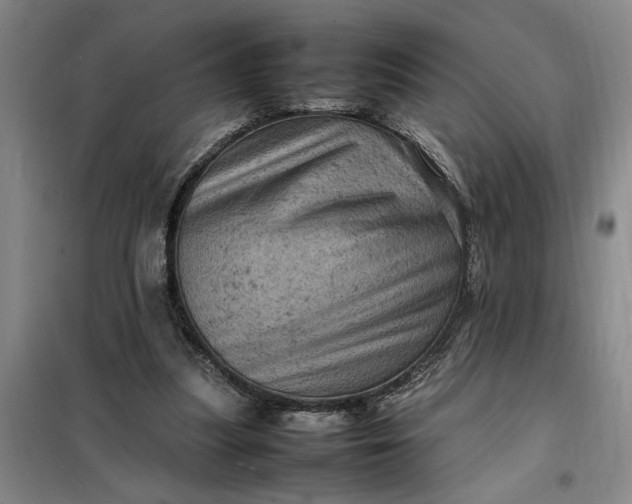 X0000098160251200805011437